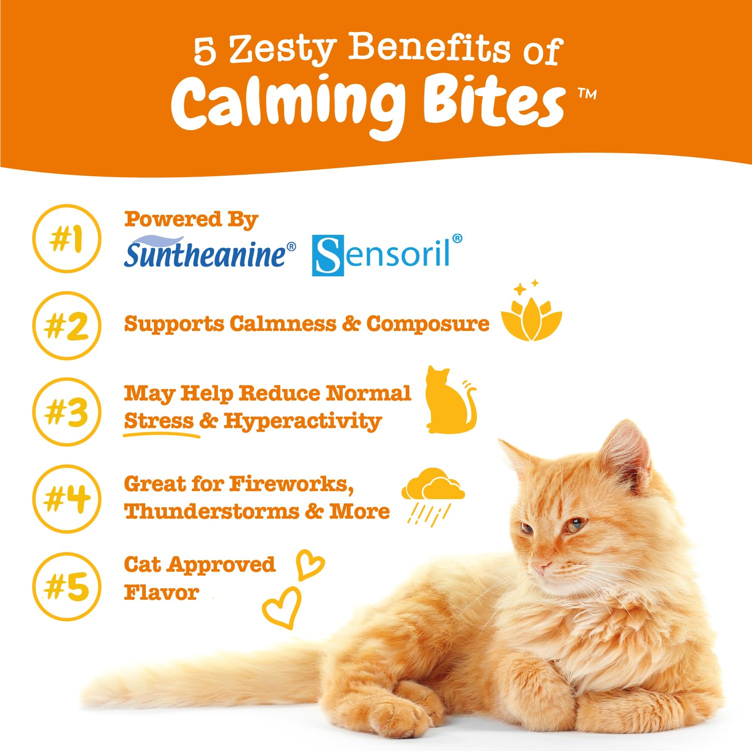 Zesty Paws bocado con ashwaganda para gatos podría favorecer una sensación de calma.