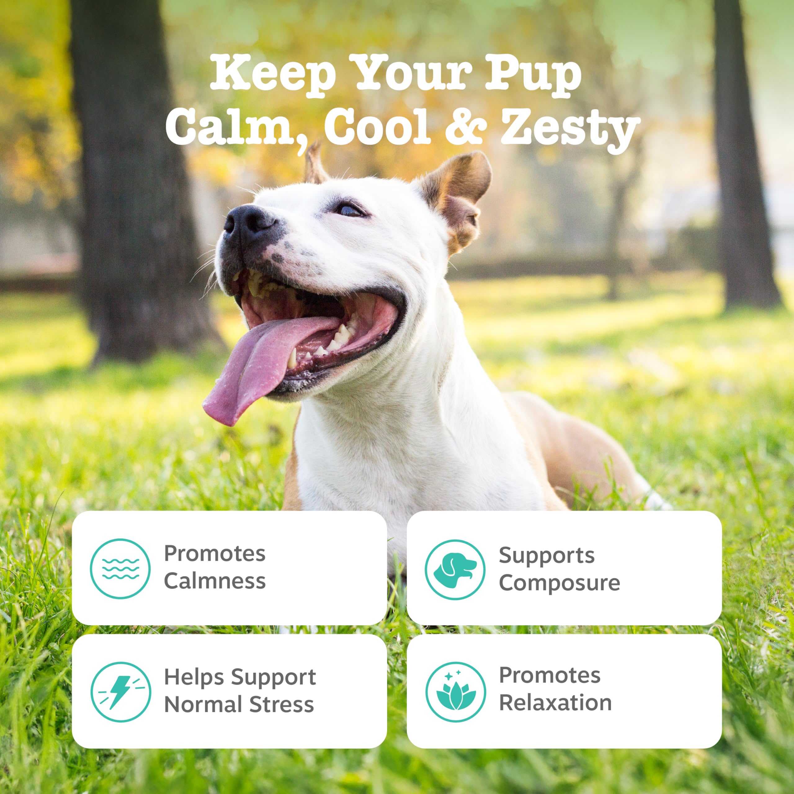 Zesty Paws masticables calmantes: bote abierto mostrando la porción por dosis