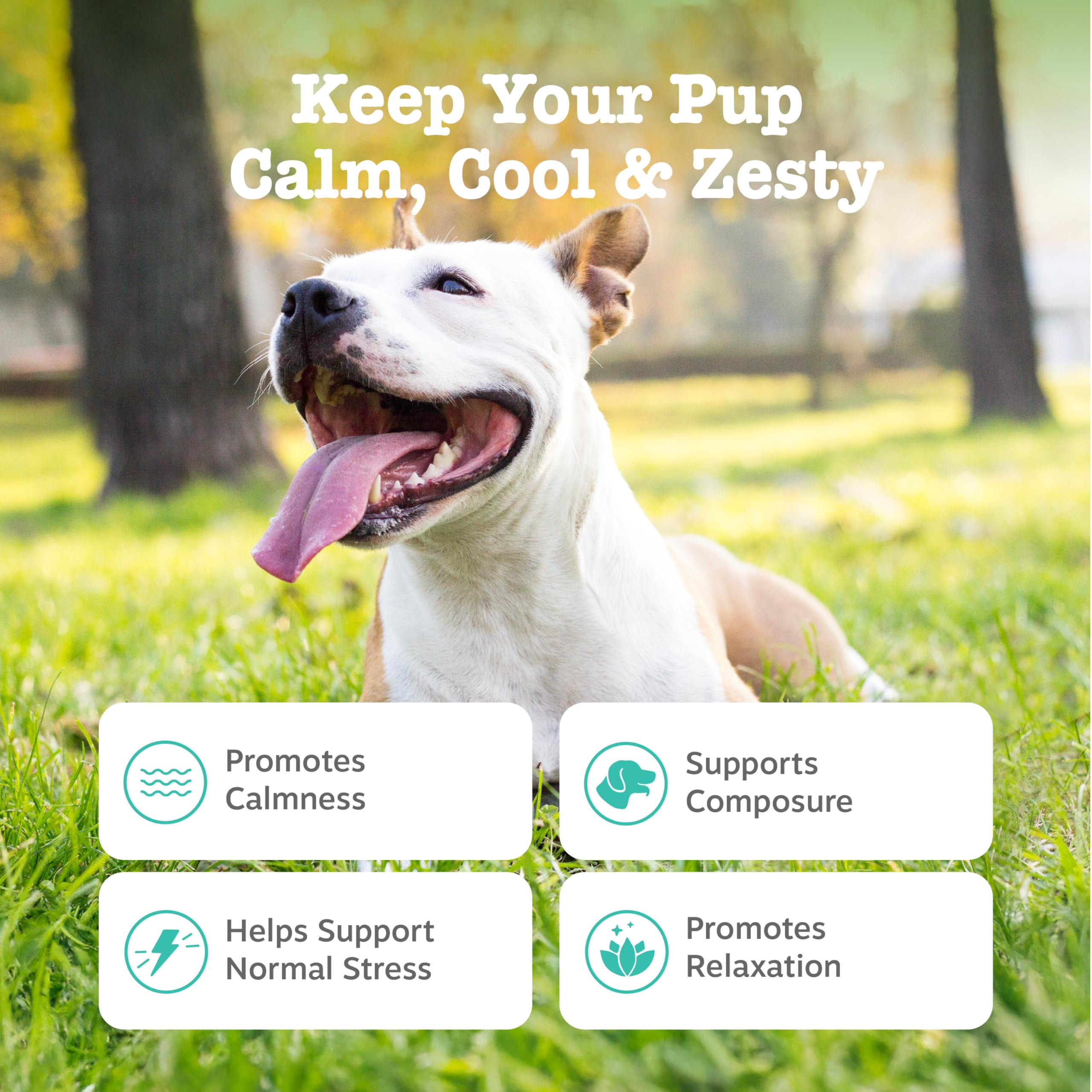 Zesty Paws Calming Chews empaque externo: opción práctica para llevar calmantes cuando viajas