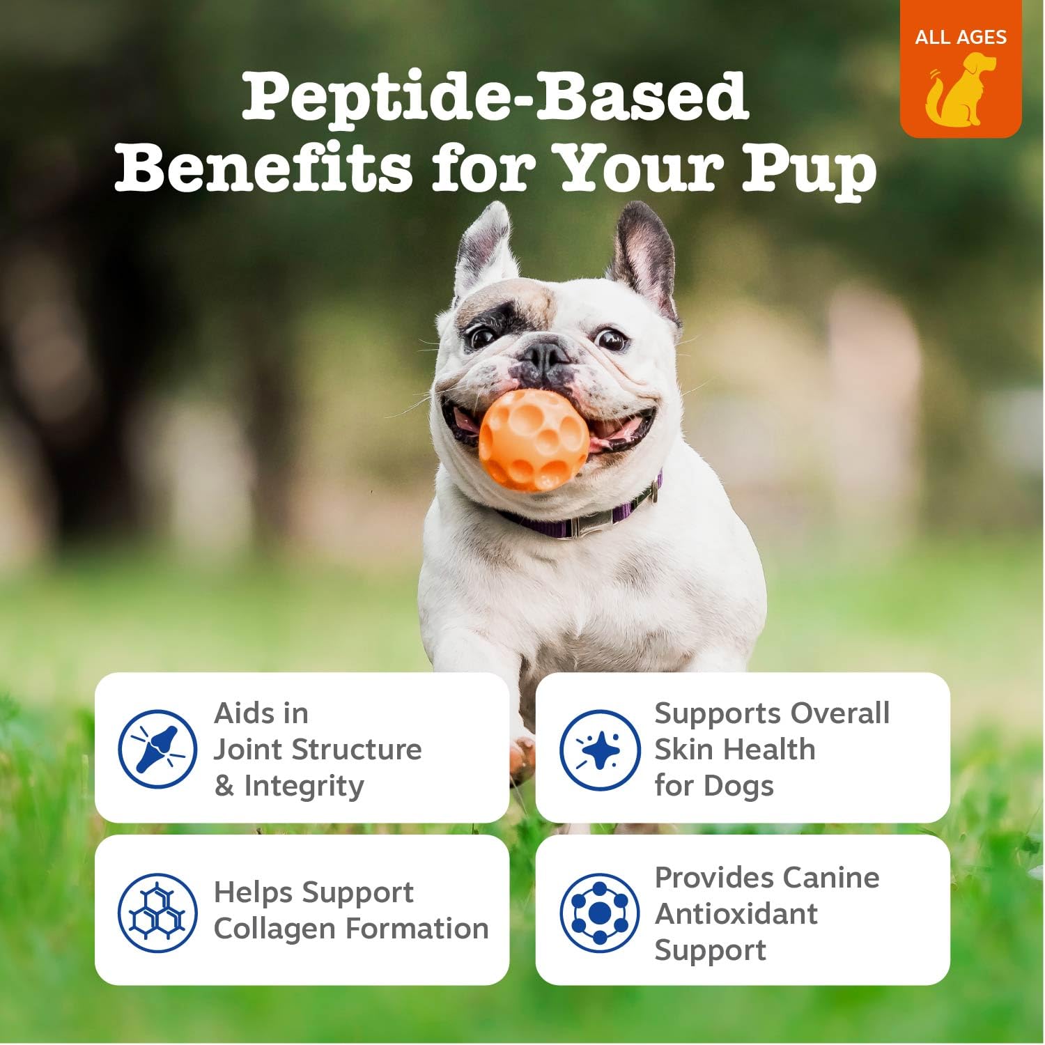 Zesty Paws masticables sabor pollo para perros, snack diario.