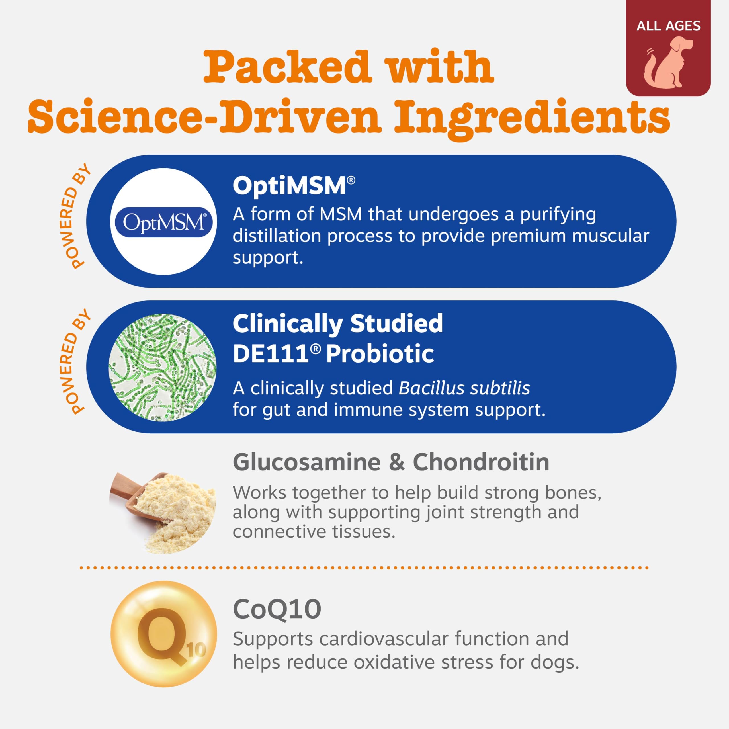 Zesty Paws Dog Multivitamin: entrega de masticable, facilita la adherencia al plan diario.