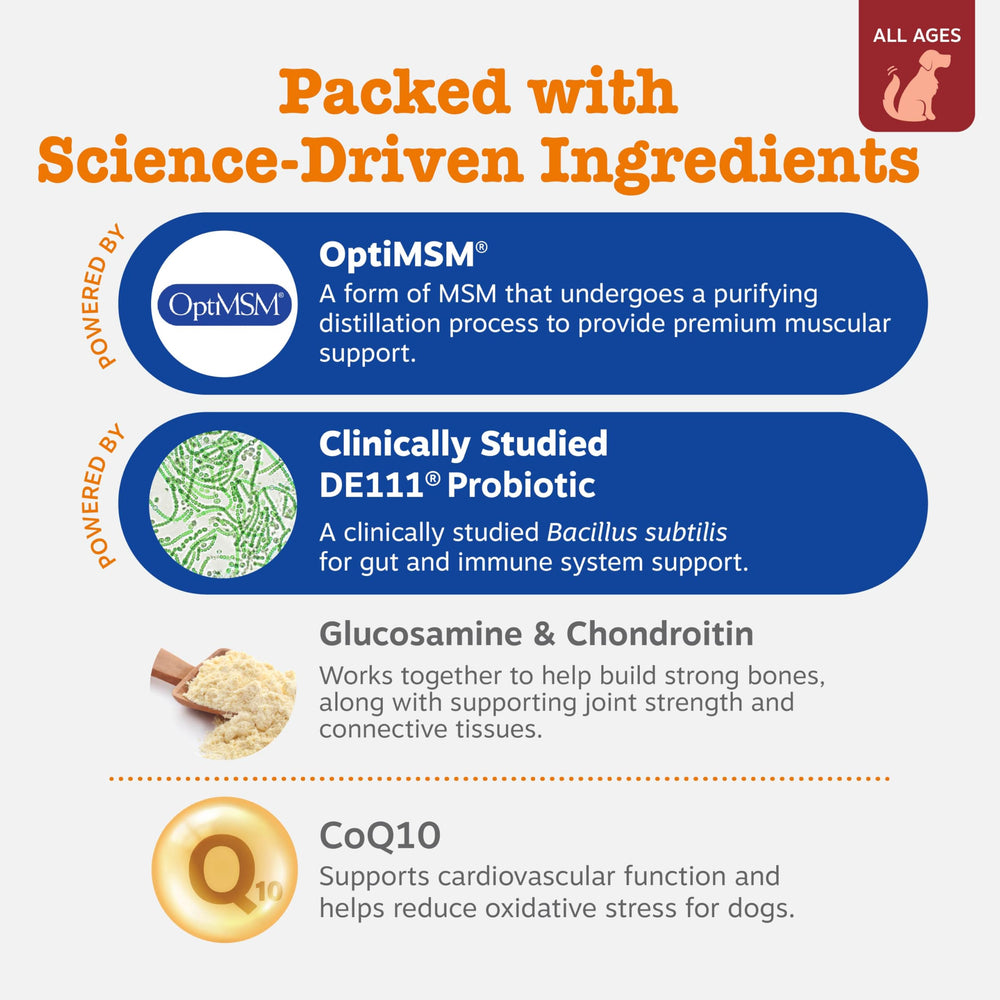 Zesty Paws Dog Multivitamin: entrega de masticable, facilita la adherencia al plan diario.