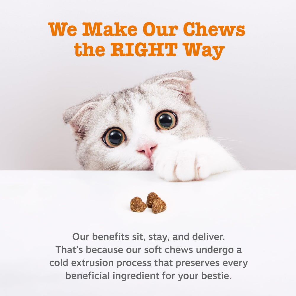 Zesty Paws: Epicor Pets para gatos, apoyo inmune.