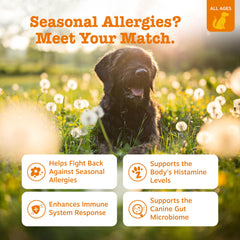 Zesty Paws masticables para perros, sabor a salmón, apoyo digestivo diario