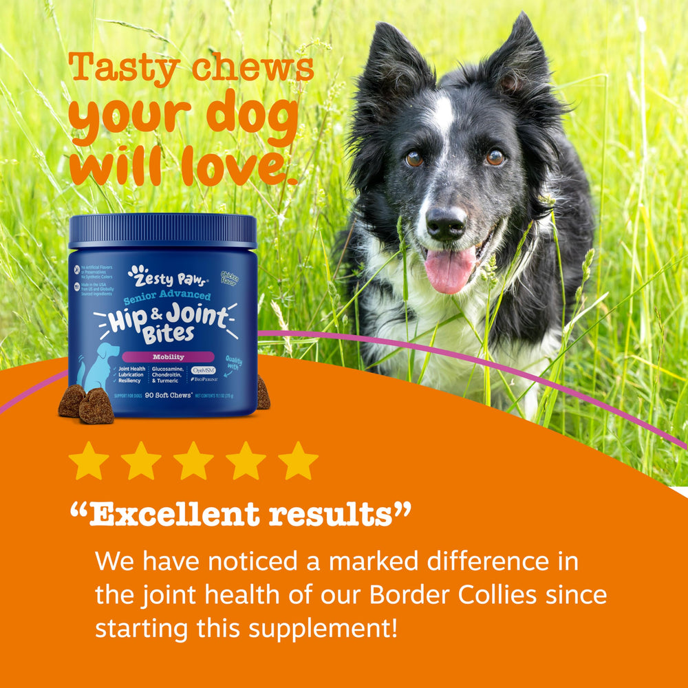Zesty Paws Mobility Bites envase de 90 unidades para uso diario