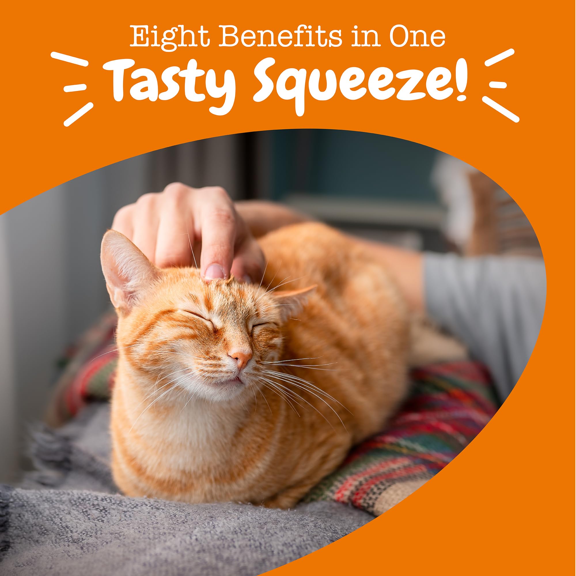 Zesty Paws Mousse para gatos interiores, salud de ojos y antioxidantes naturales
