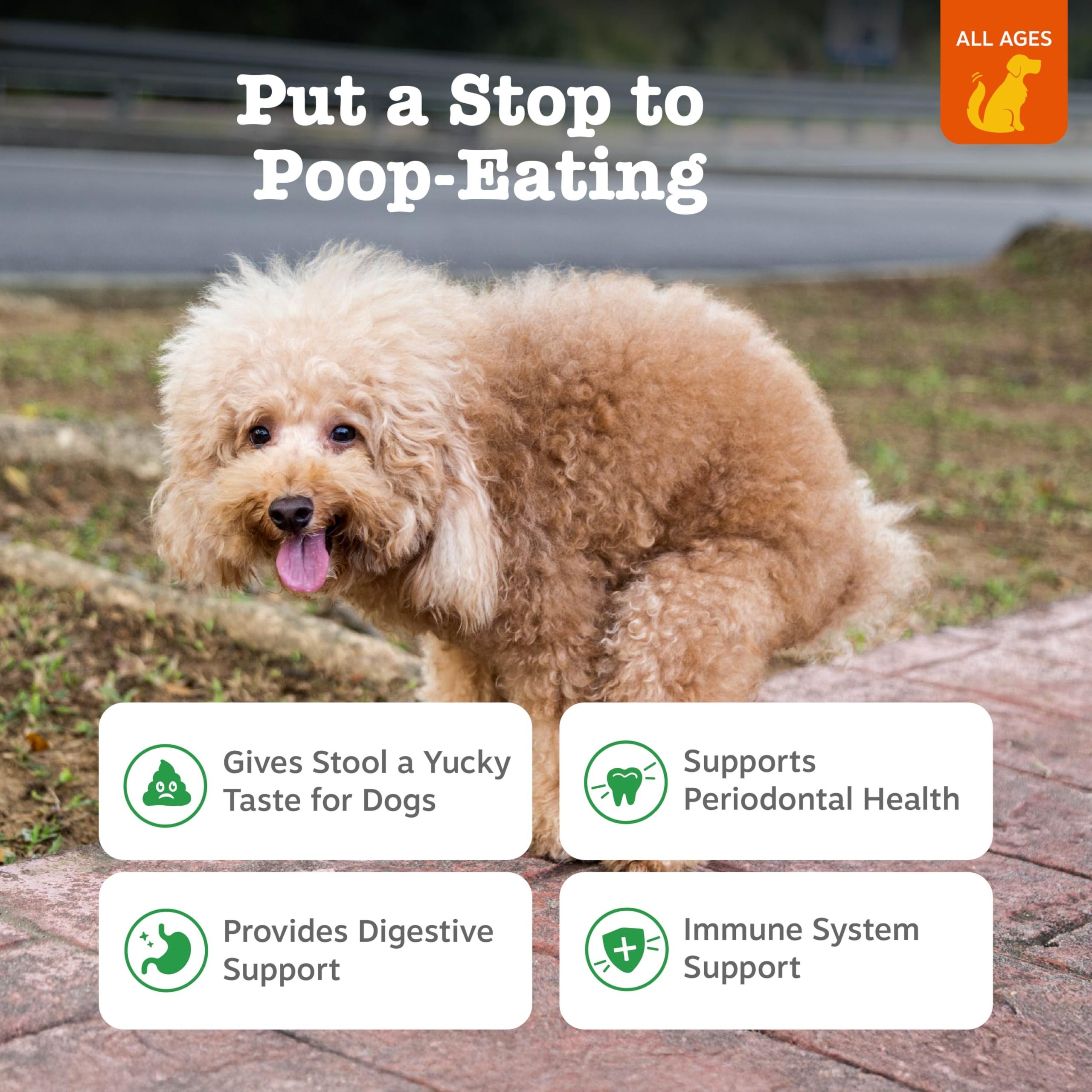 Zesty Paws No Poo Bites, perro en casa, apoyo digestivo suave con probióticos.