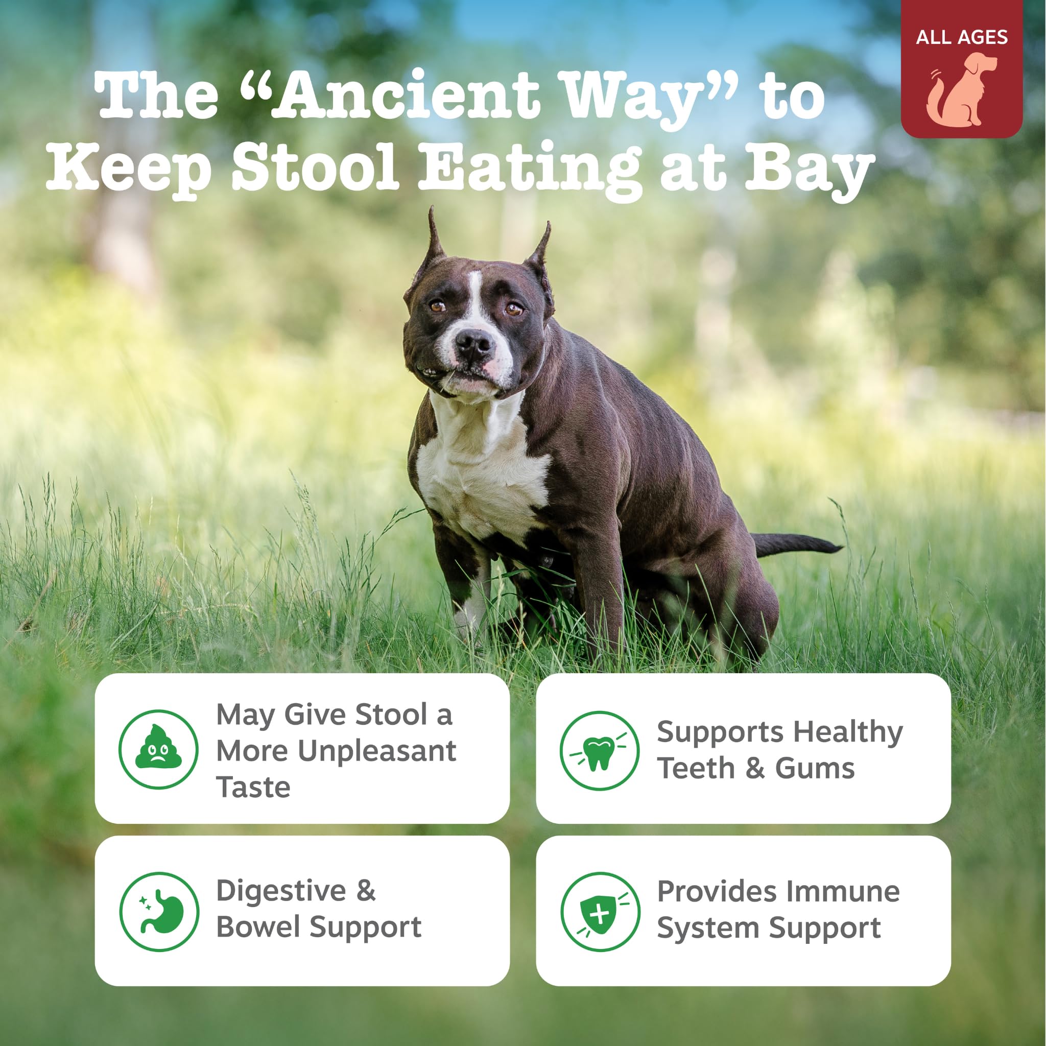 Zesty Paws No Poo Bites textura suave para masticar.