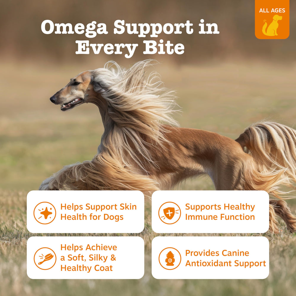 Zesty Paws Omega-3 Alaskan Fish Oil con sabor a pollo para piel suave.