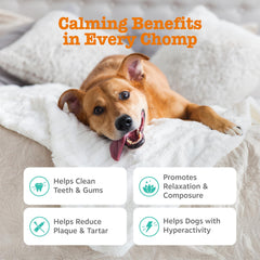 OraStix, palito dental para perros, apoya la salud bucal y la calma