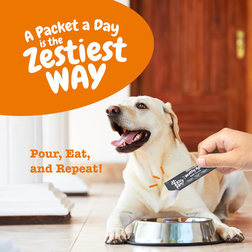 Zesty Paws perro saludable y activo: enfoque en músculos y movilidad.