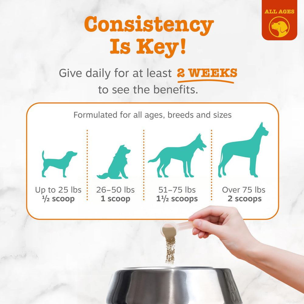 Zesty Paws Polvo Probiotico Dental para Perros sabor agradable facilita su uso.
