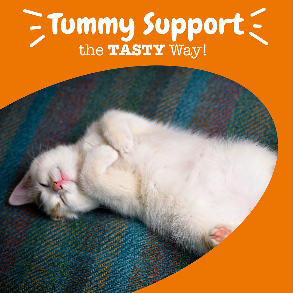 Sabor agradable de Zesty Paws Probiotic Bites para la salud intestinal del gato