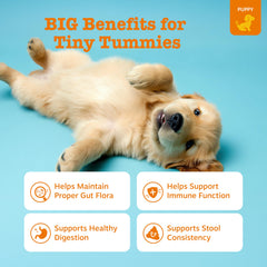 Zesty Paws Probióticos para cachorros: mezcla de bacterias para flora intestinal balanceada