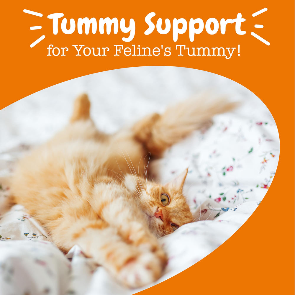 Zesty Paws apoyo inmune para gatos, con probióticos y fibra prebiótica.