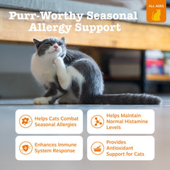 Zesty Paws: Probif3ticos y Omega-3 para gatos con digestión saludable.