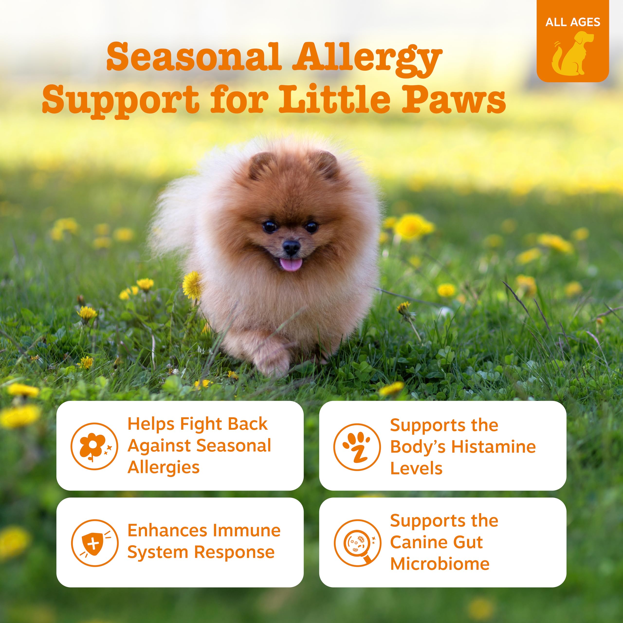 Zesty Paws Probióticos para perro: soporte digestivo estable.