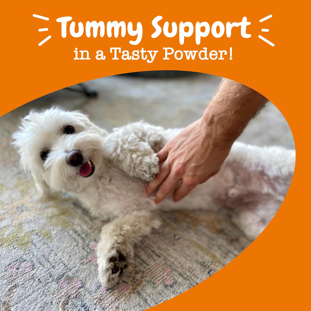 Zesty Paws Probioticos fácil de usar diariamente