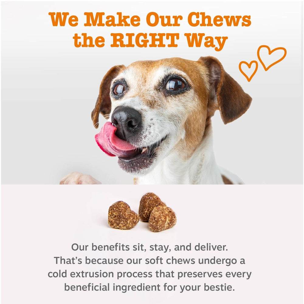 Zesty Paws Probióticos: refuerzo de la inmunidad suave para perros.