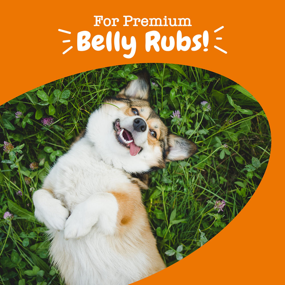 Zesty Paws Probiotics para perros, masticables suaves con aroma agradable para uso diario