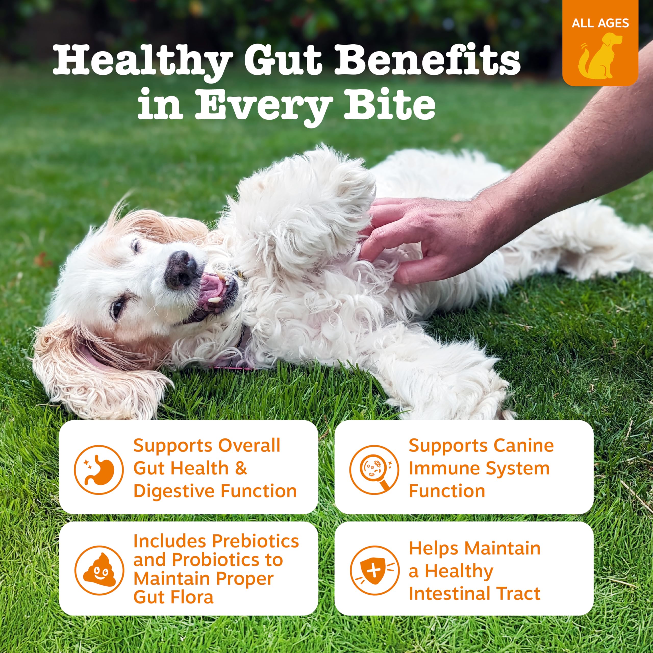 Zesty Paws Probióticos: enzimas digestivas en cada porción para perros.