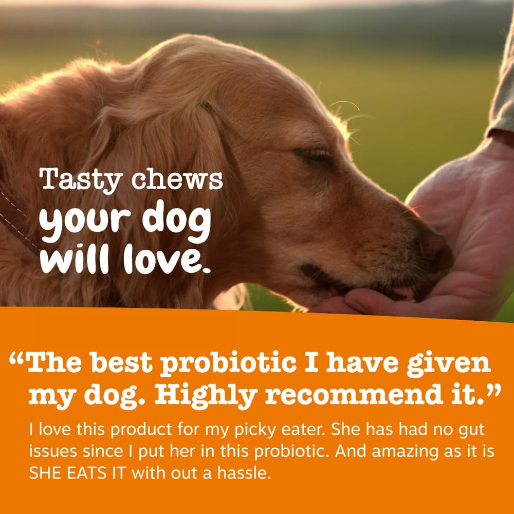 Zesty Paws Probiotics para perros: enzimas Papain y Bromelain para digestión