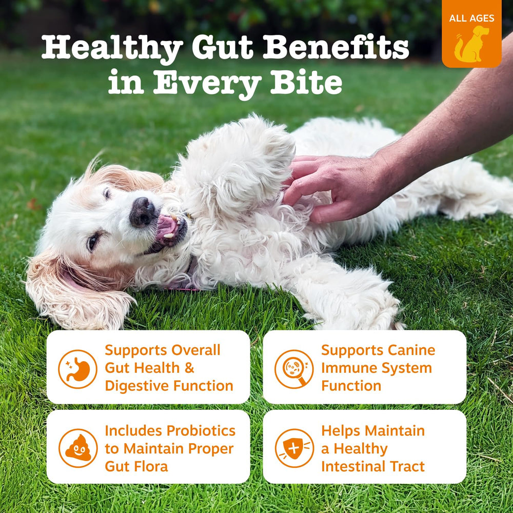 Zesty Paws Probiotics para perros: tabletas suaves con textura agradable para digestión