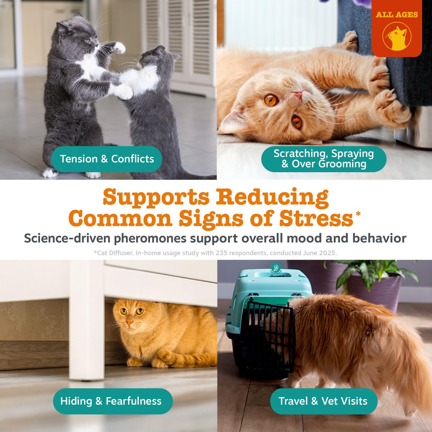Recambio difusor-gato Zesty Paws para calmar la convivencia