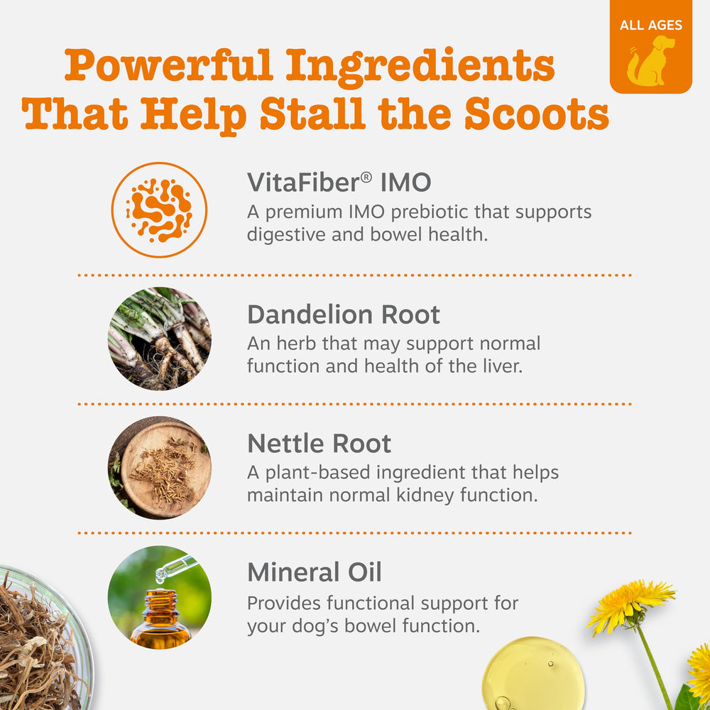 Zesty Paws Scoot Away ingredientes clave para la salud intestinal