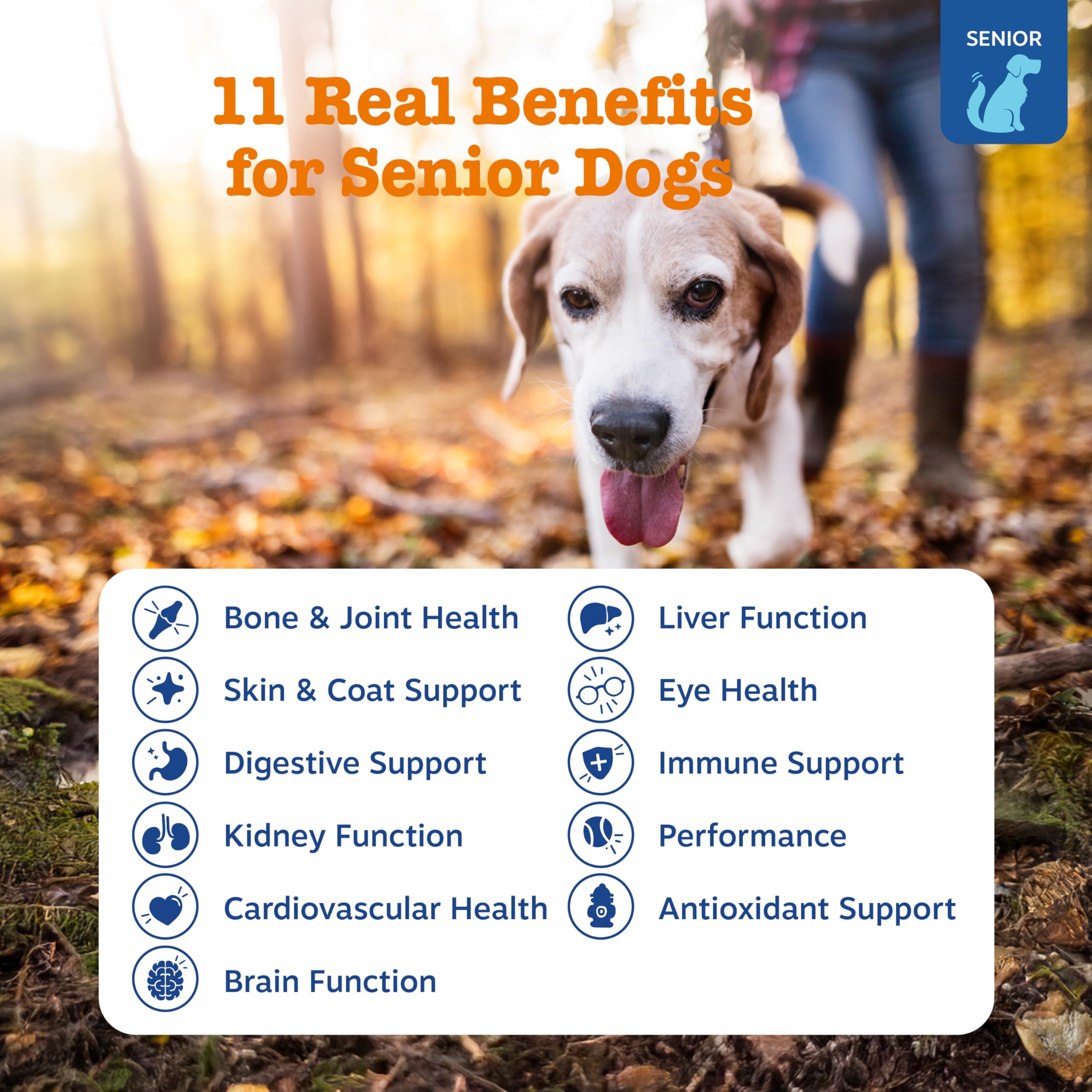Tabletas Zesty Paws Senior para perros mayores, sabor sabroso y fácil de tomar.