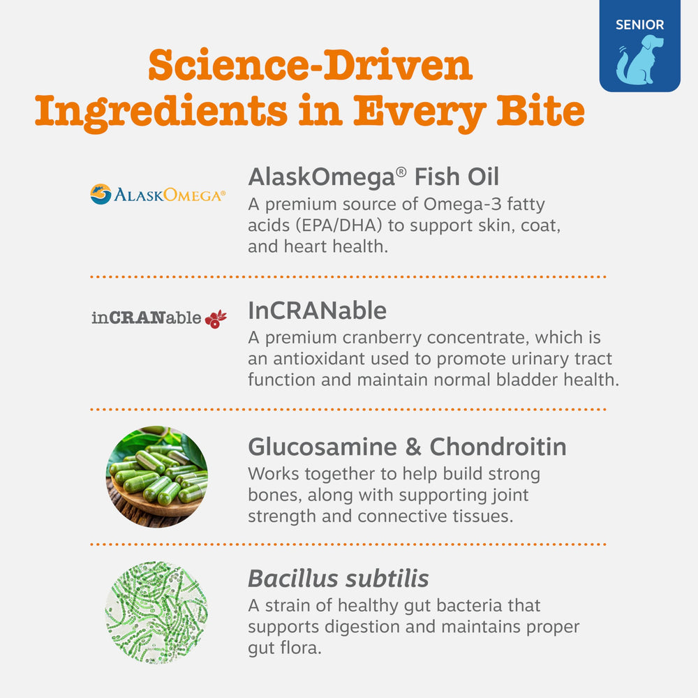 Zesty Paws enzimas digestivas y probióticos para salud intestinal