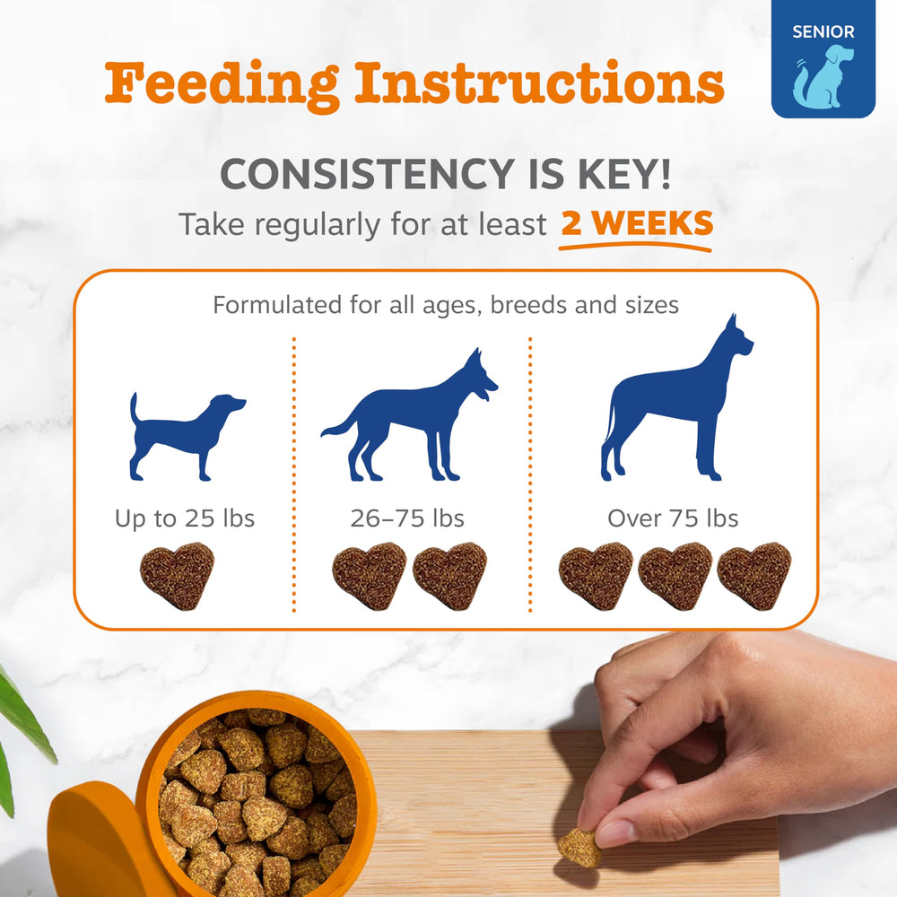 Zesty Paws sin granos con sabor a res para dieta sensible