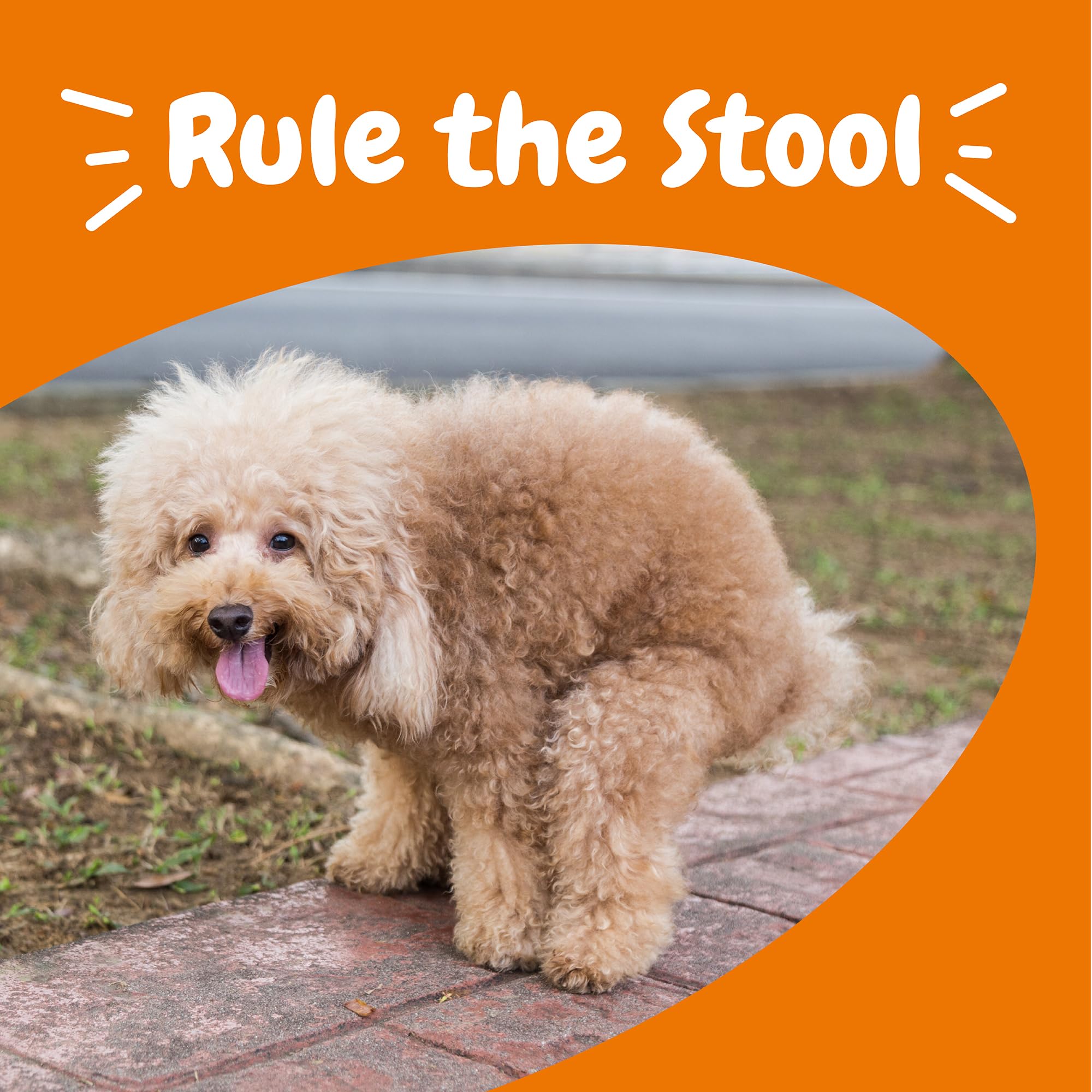 Zesty Paws Solid Poop Support Bites con fructooligosacáridos para prebióticos.
