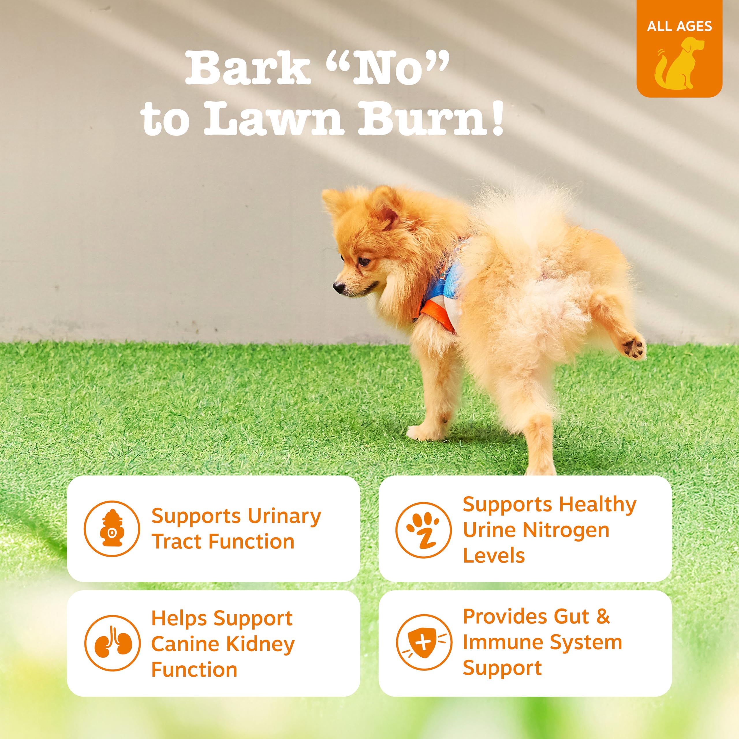 Zesty Paws Stay Green Bites: perro mordisqueando, opción sabrosa para cuidado diario.
