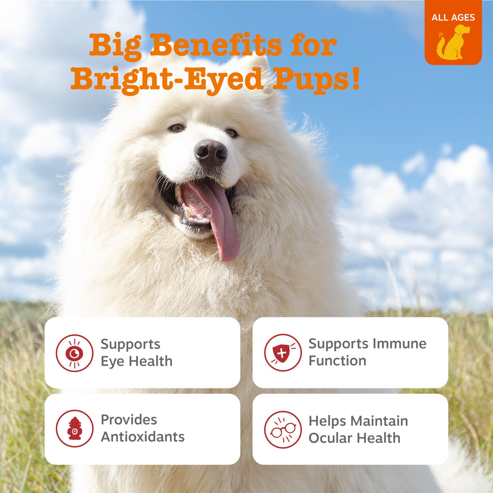 Zesty Paws Tear Stain Support con ingredientes clave para la salud visual del perro.