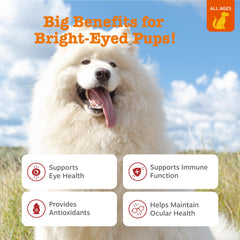 Zesty Paws Tear Stain Support con ingredientes clave para la salud visual del perro.