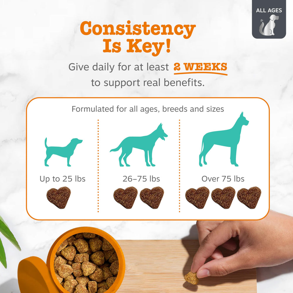 Zesty Paws Vet Strength Calming Bites caja de 90 piezas para el hogar
