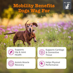 Trozos masticables de Zesty Paws Vet Strength Mobility Bites con sabor agradable