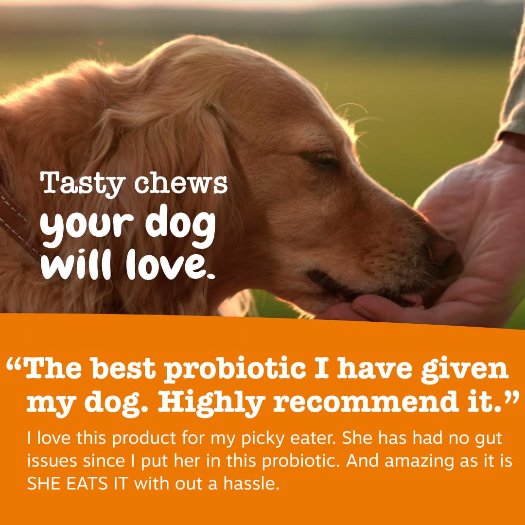 Fórmula clínicamente estudiada de Zesty Paws Vet Strength Probiotics para función intestinal.