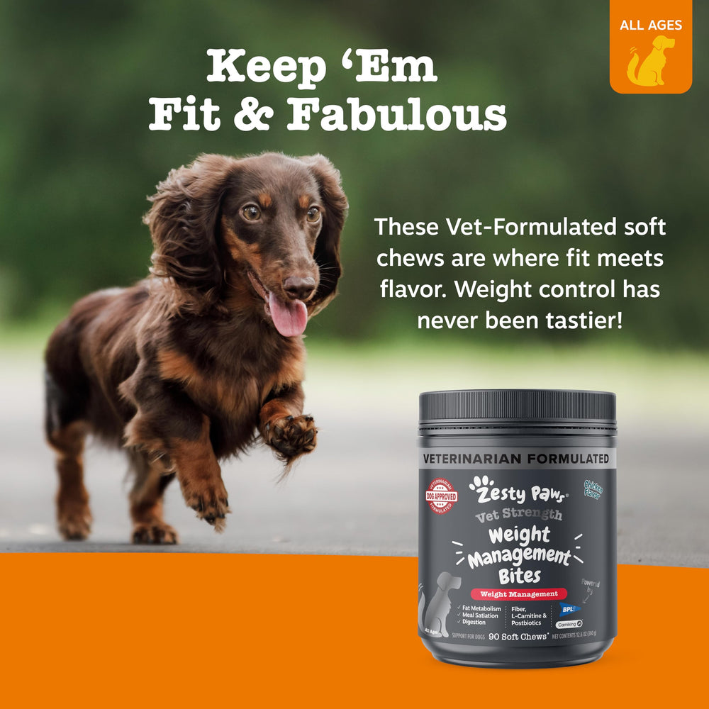 Zesty Paws Bocados con fibra y vitaminas para apoyar el metabolismo.