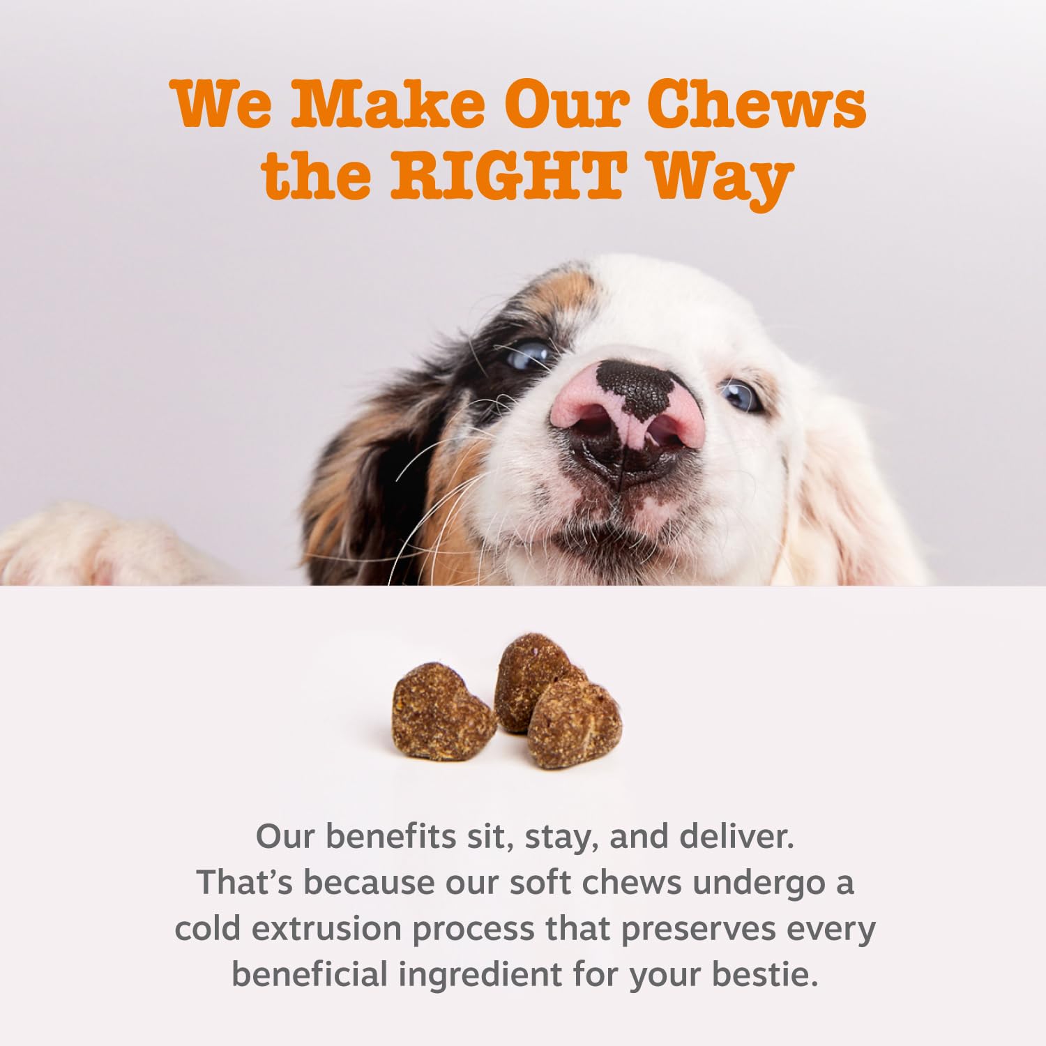 Zesty Paws Bocados con postbióticos para salud intestinal y control de peso.