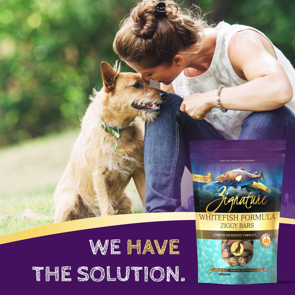 Golosinas de calabaza Zignature para apoyo digestivo en perros.