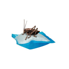 Almohadillas Zilla para reptiles humedad duradera para grillos en jaulas.