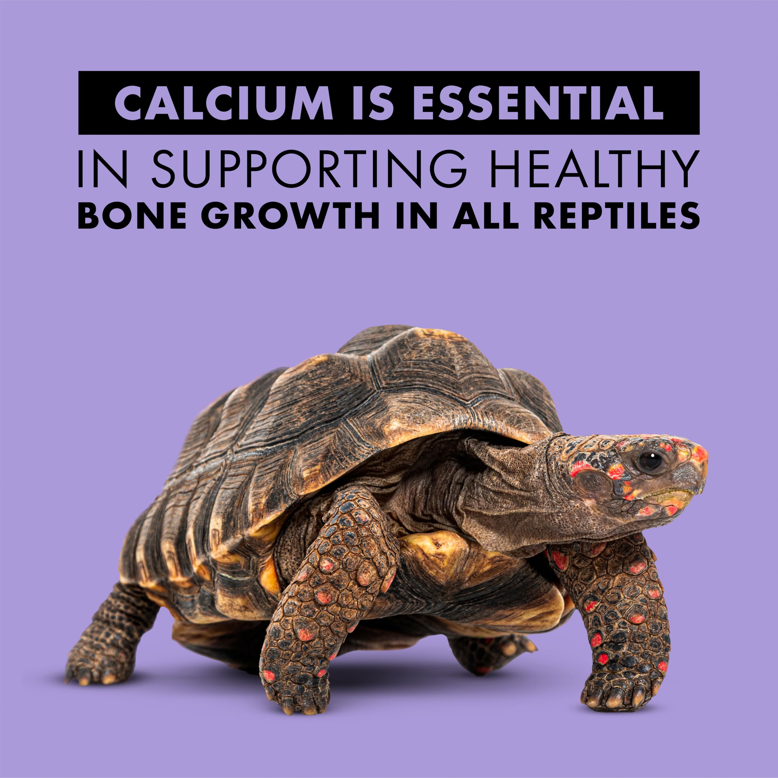 Etiqueta clara de Zilla Calcium Spray en envase de 8 oz.