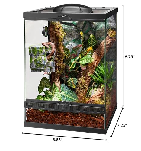 Zilla Acabado Gris puro se integra con la decoración natural del terrario.