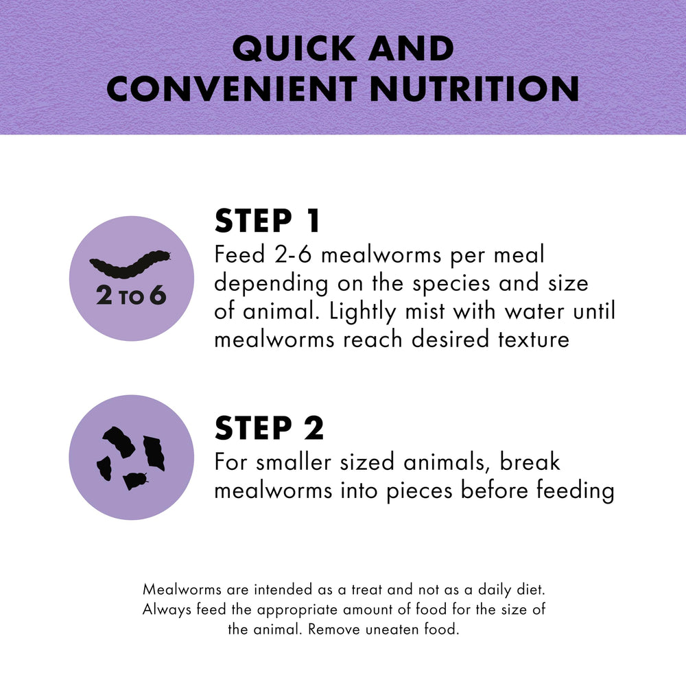 Zilla Premios para reptiles gusanos deshidratados en primer plano para proteína natural