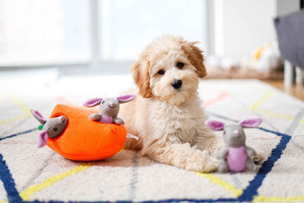 ZippyPaws Burrow: burrow rellenable con Miniz para recargas fáciles