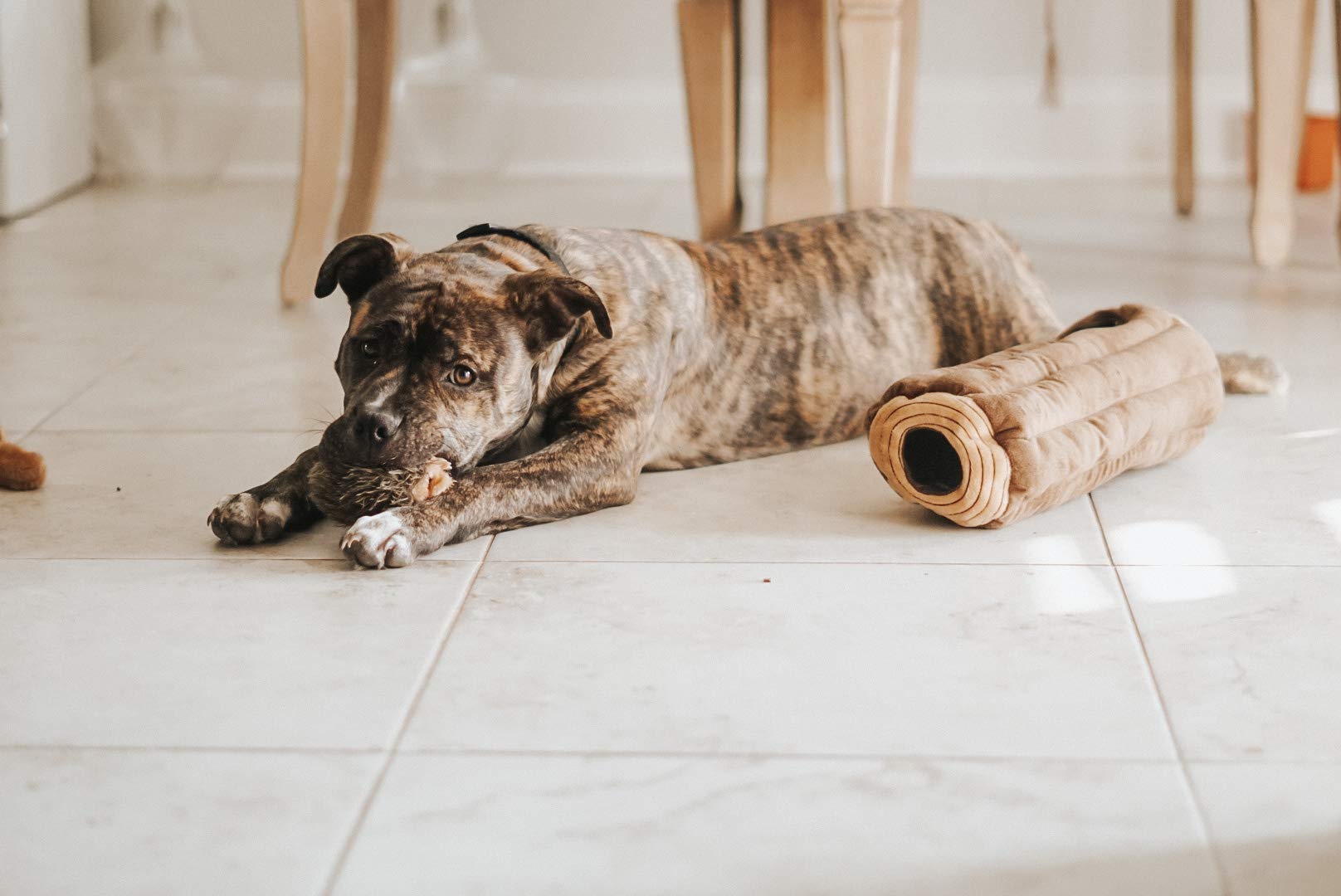 ZippyPaws Burrow tejido suave, juego cómodo para perros pequeños y medianos