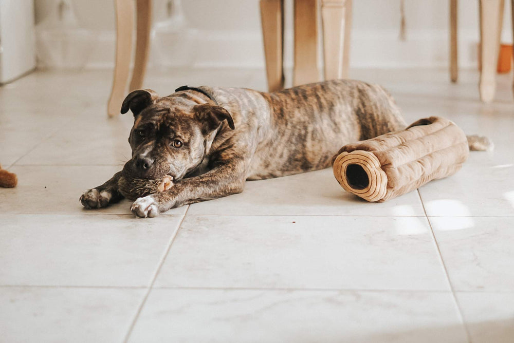 ZippyPaws Burrow tejido suave, juego cómodo para perros pequeños y medianos