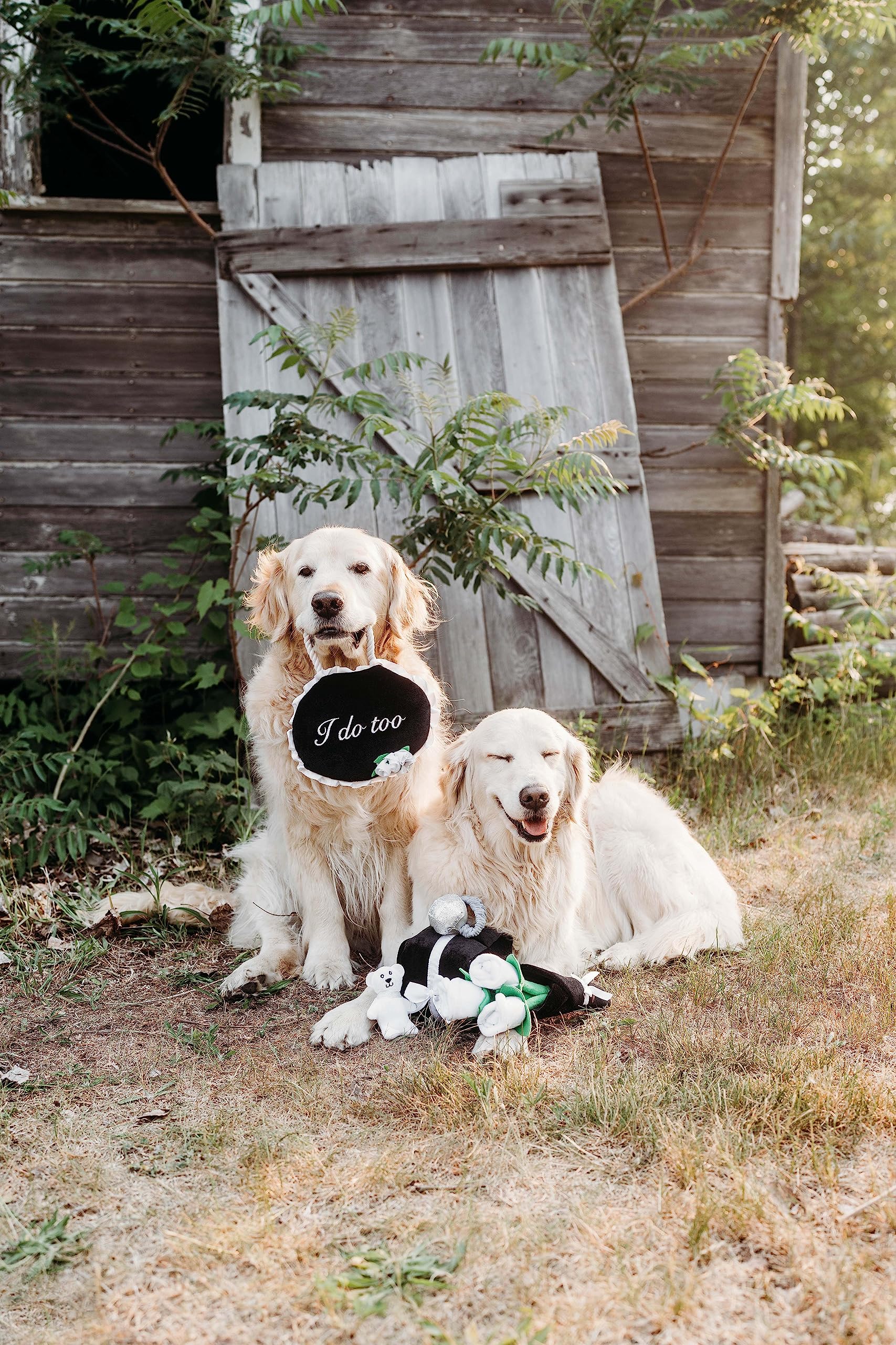 zippypaws juguete para cachorros y perros medianos, apto para varias etapas.
